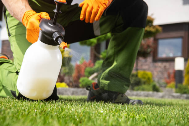 Best Pest Prevention Services  in New Buffalo, MI