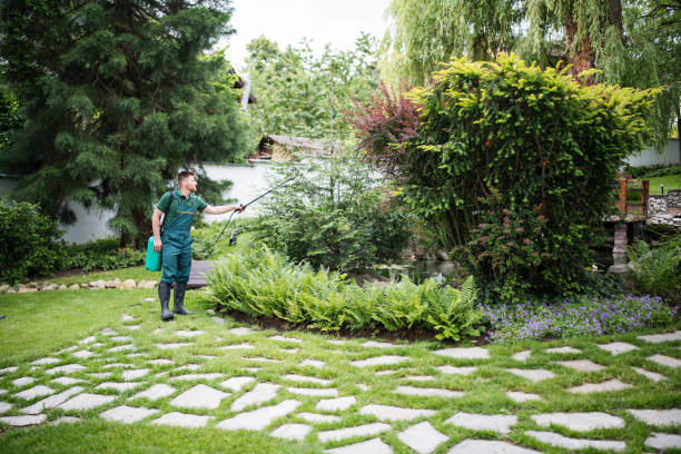 Best Affordable Pest Control Services  in New Buffalo, MI