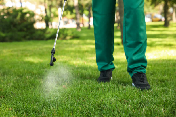 Best Emergency Pest Control  in New Buffalo, MI