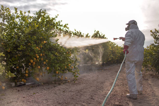 Best Mosquito Control Services  in New Buffalo, MI