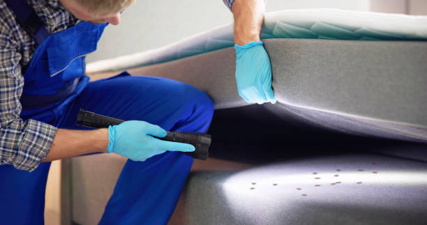 Best Pest Inspection Near Me  in New Buffalo, MI