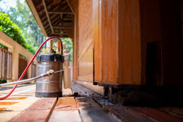 Best Best Pest Control Companies  in New Buffalo, MI