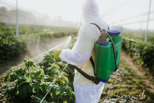 Best Pest Removal Services  in New Buffalo, MI